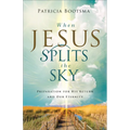 When Jesus Splits the Sky: Preparation for His Return and Our Eternity - Hardcover
