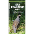 San Francisco Birds: An Introduction to Familiar Species