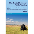 Flat-Coated Retriever Tricks Training Flat-Coated Retriever Tricks & Games Training Tracker & Workbook. Includes: Flat-Coated Retriever Multi-Level Tr - Paperback