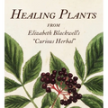 Healing Plants: From Elizabeth Blackwell's a Curious Herbal - Hardcover