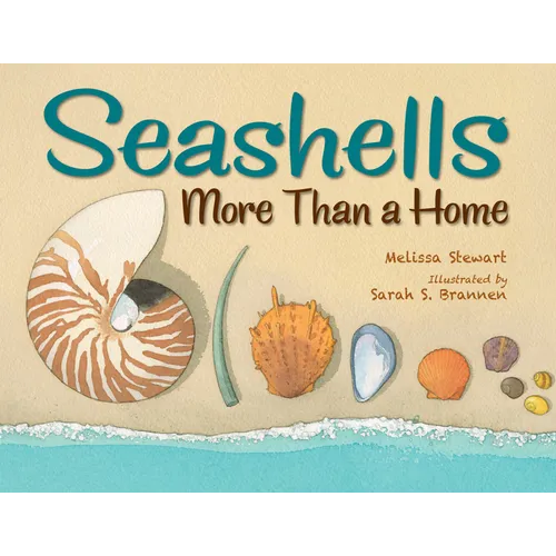 Seashells: More Than a Home - Hardcover