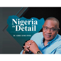 Nigeria in Detail: An X-ray of Burning Issues and the Way Forward - Paperback