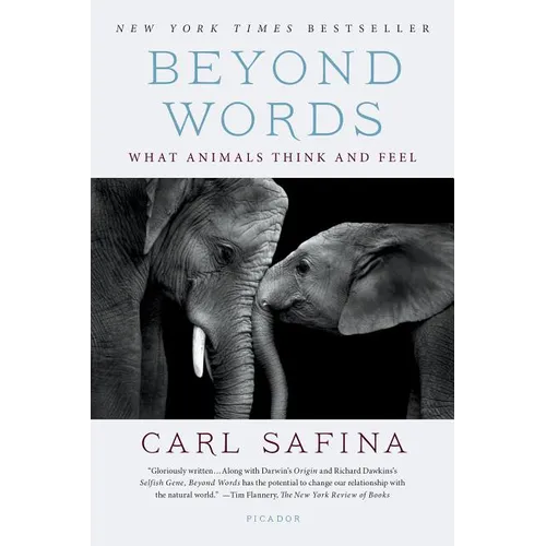 Beyond Words: What Animals Think and Feel - Paperback