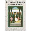 Divan of Ghalib - Paperback