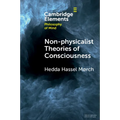 Non-physicalist Theories of Consciousness - Paperback