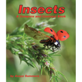 Insects: A Compare and Contrast Book - Paperback