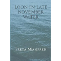 Loon In Late November Water - Paperback