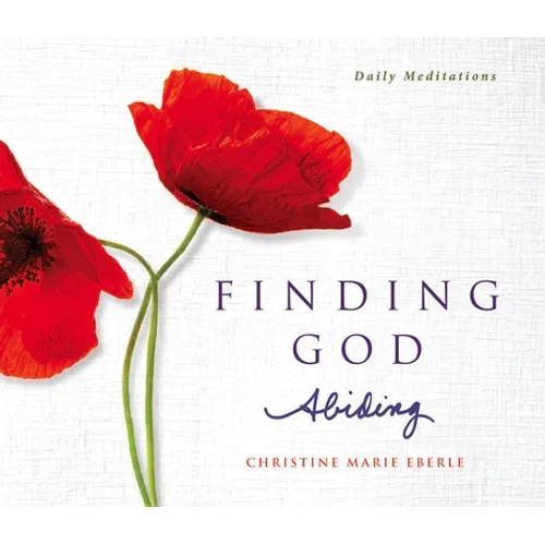 Finding God Abiding: Daily Meditations - Paperback