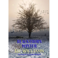 Blackthorn Winter - Paperback