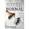 Super Normal - Paperback