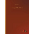 History of The Britons - Paperback