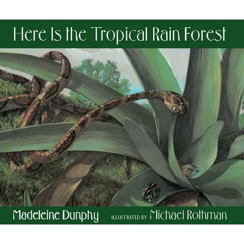 Here Is the Tropical Rain Forest - Hardcover