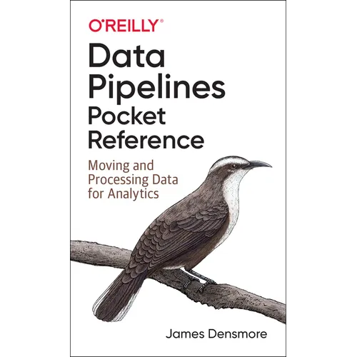 Data Pipelines Pocket Reference: Moving and Processing Data for Analytics - Paperback
