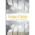 The Impact of Electricity: Development, Desires and Dilemmas - Paperback