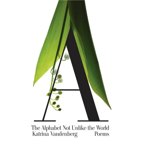 The Alphabet Not Unlike the World - Paperback