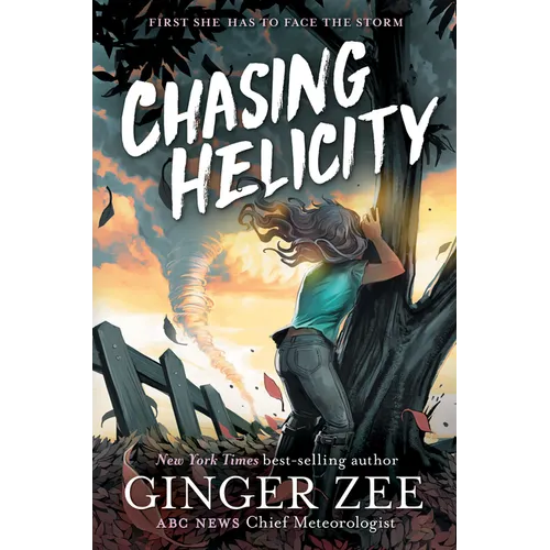 Chasing Helicity: Chasing Helicity-Chasing Helicity, Book 1 - Hardcover