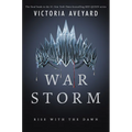 War Storm - Hardcover