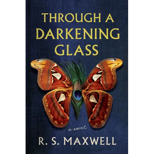 Through a Darkening Glass - Paperback
