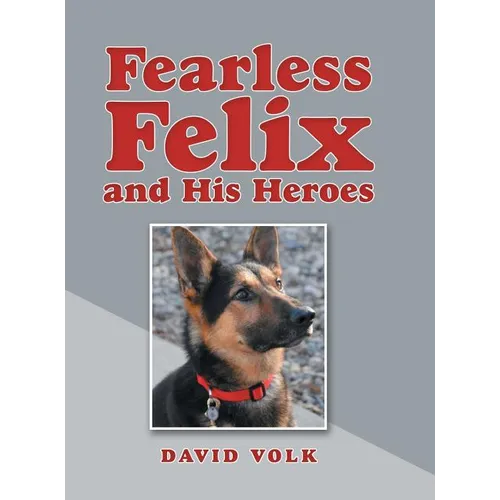 Fearless Felix and His Heroes - Hardcover