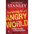 Surviving in an Angry World: Finding Your Way to Personal Peace - Paperback