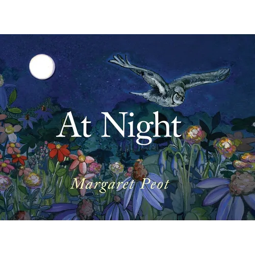 At Night - Hardcover