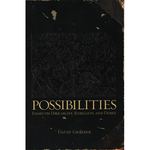 Possibilities: Essays on Hierarchy, Rebellion, and Desire - Paperback