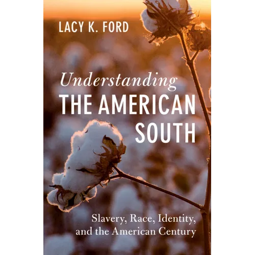 Understanding the American South