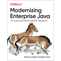 Modernizing Enterprise Java: A Concise Cloud Native Guide for Developers - Paperback