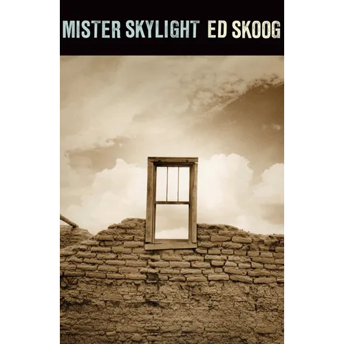 Mister Skylight - Paperback