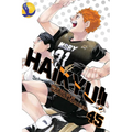 Haikyu!!, Vol. 45: Challengers - Paperback