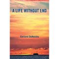 A Life Without End - Paperback