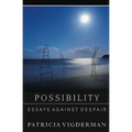 Possibility: Essays Against Despair - Paperback