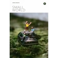 Small World - Paperback
