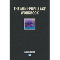 The Mini-Pupillage Workbook