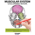Muscular System Coloring Book - Paperback