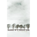 Journal of a Prairie Year - Paperback