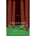 Landscape in Concrete - Paperback