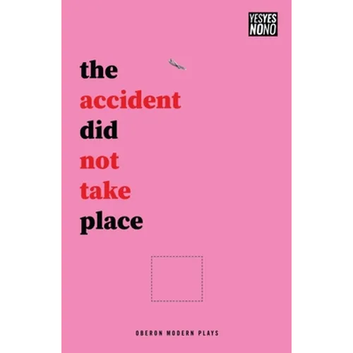 The Accident Did Not Take Place - Paperback