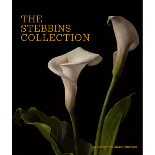 The Stebbins Collection: A Gift for the Morse Museum - Hardcover