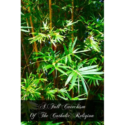 A Full Catechism Of The Catholic Religion - Paperback