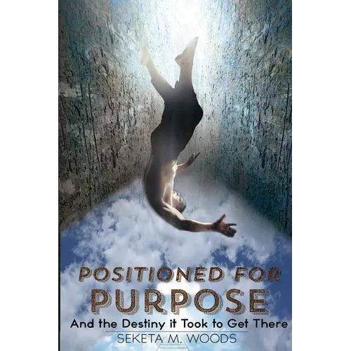 Positioned for Purpose: And The Destiny It Took To Get There - Paperback