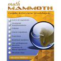 Math Mammoth Grade 8 Review Workbook - Paperback