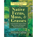 Native Ferns, Moss, and Grasses - Paperback
