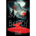 Soolie Beetch and the Dying Light - Paperback
