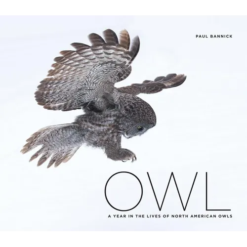 Owl: A Year in the Lives of North American Owls - Hardcover