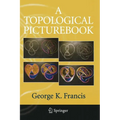 A Topological Picturebook - Paperback