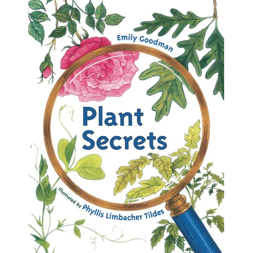 Plant Secrets - Paperback