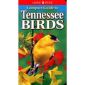 Compact Guide to Tennessee Birds - Paperback