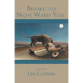 Before the Night Wakes You - Paperback