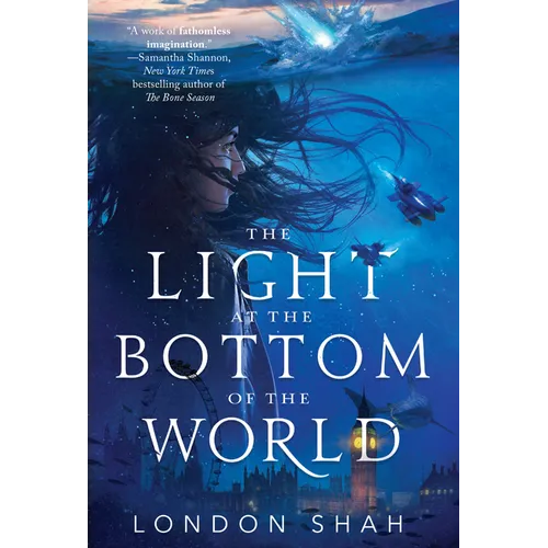 The Light at the Bottom of the World - Paperback